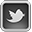 Twitter For Mac Grey Icon 32x32 png